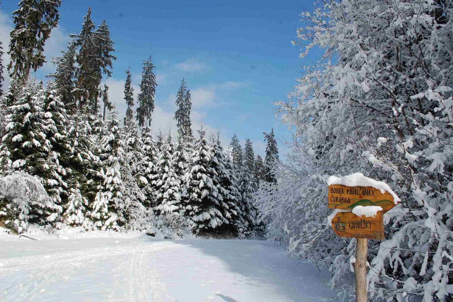 12 Reasons To Visit The Beskydy Mountains Czech Republic